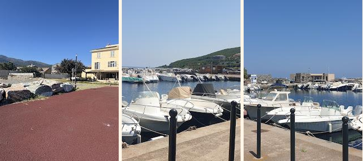 A Pasturella - Gallery Image 1