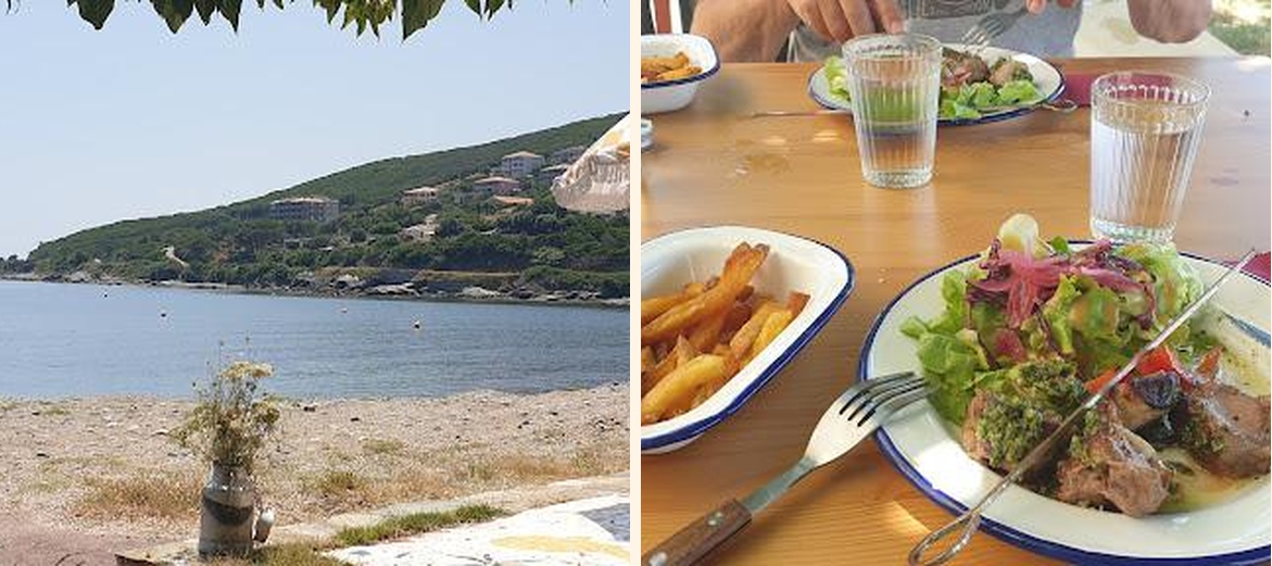 A Pasturella - Gallery Image 2